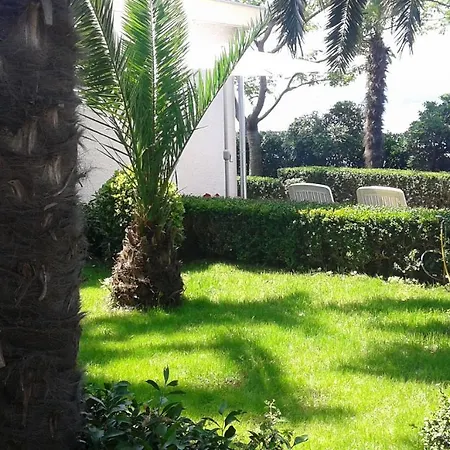 Holiday home Petar 2 - 10m From Sea Zadar