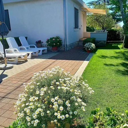 Holiday home Petar 2 - 10m From Sea Zadar